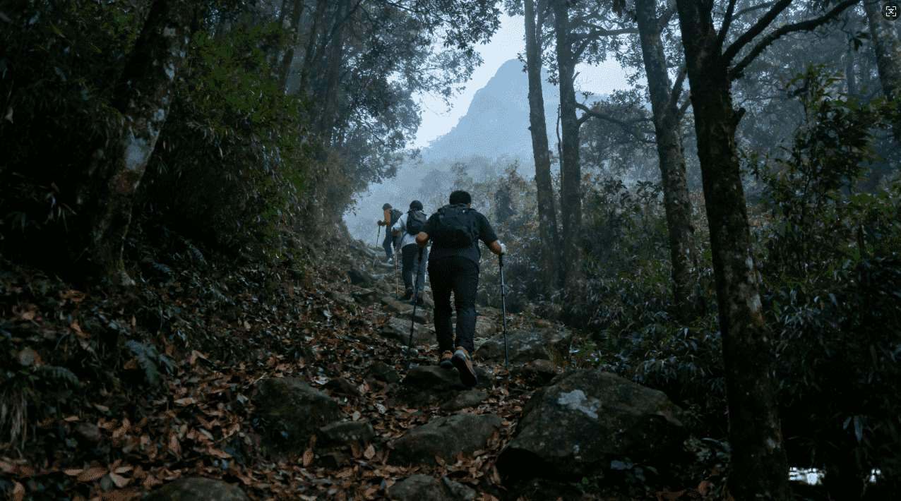 蘑菇加速器绿版免费下载安装指南